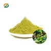 GREEN TEA EXTRACT POWDER- DINH PHU MY COCONUT PRODUCTS