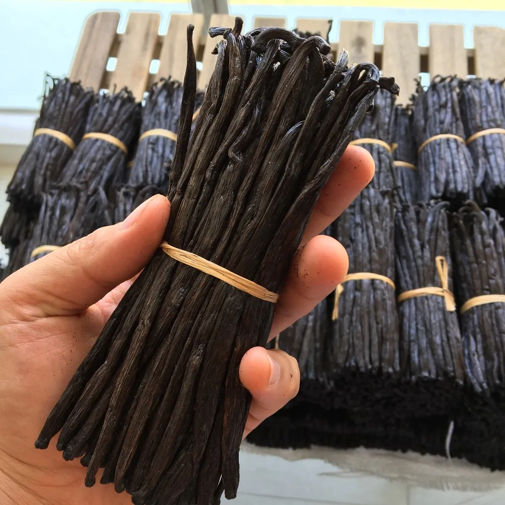 马达加斯加香草豆