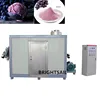 Industrial cryogenic grinder Blueberry crushing machine with CE