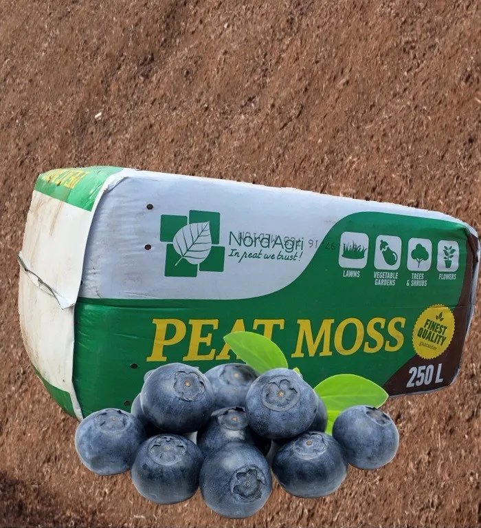 Natural Peat Moss For Berries - Buy Blueberry Peat Moss,Baltic Peat ...