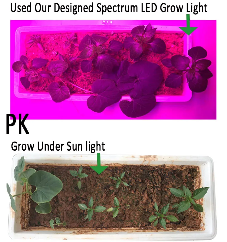 High Quality Hoticulture Plant LED Grow Lamps Indoor For Orchid Plant