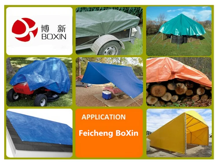 PE Tarpaulin 3