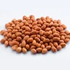 Organic bulk Almonds nuts Best quality/Raw Peanuts for sale