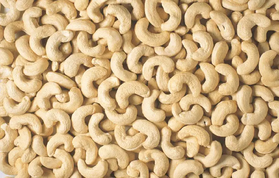 Image result for cashew nut