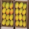 Export Best Packing Alphonso Mango