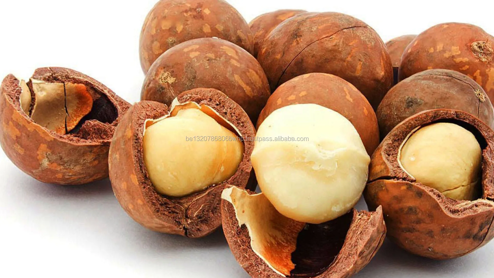 Raw Organic High Quality Bulk Macadamia For Sale Buy Macadamia Nut