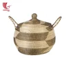 Hot!!! Seagrass plastic string basket with lid and handles/Handmade seagrass basket with plastic string