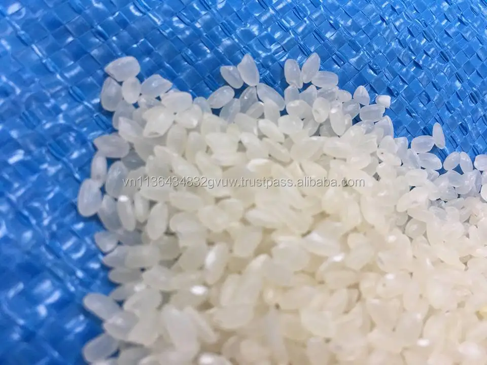 JAPONICA 2% BROKEN 3.jpg