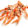 Shellfish export