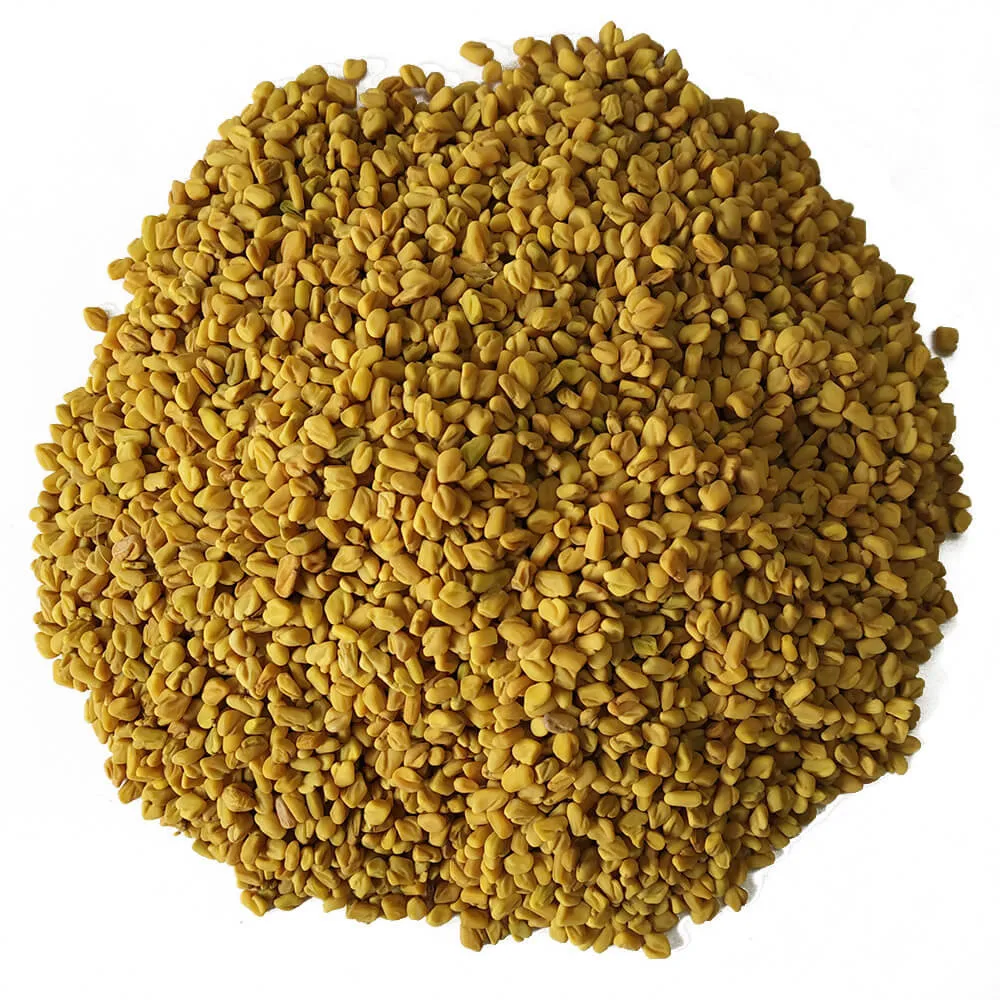 Supplier Of Best Quality Fenugreek Seed Powder Buy Organic Quality