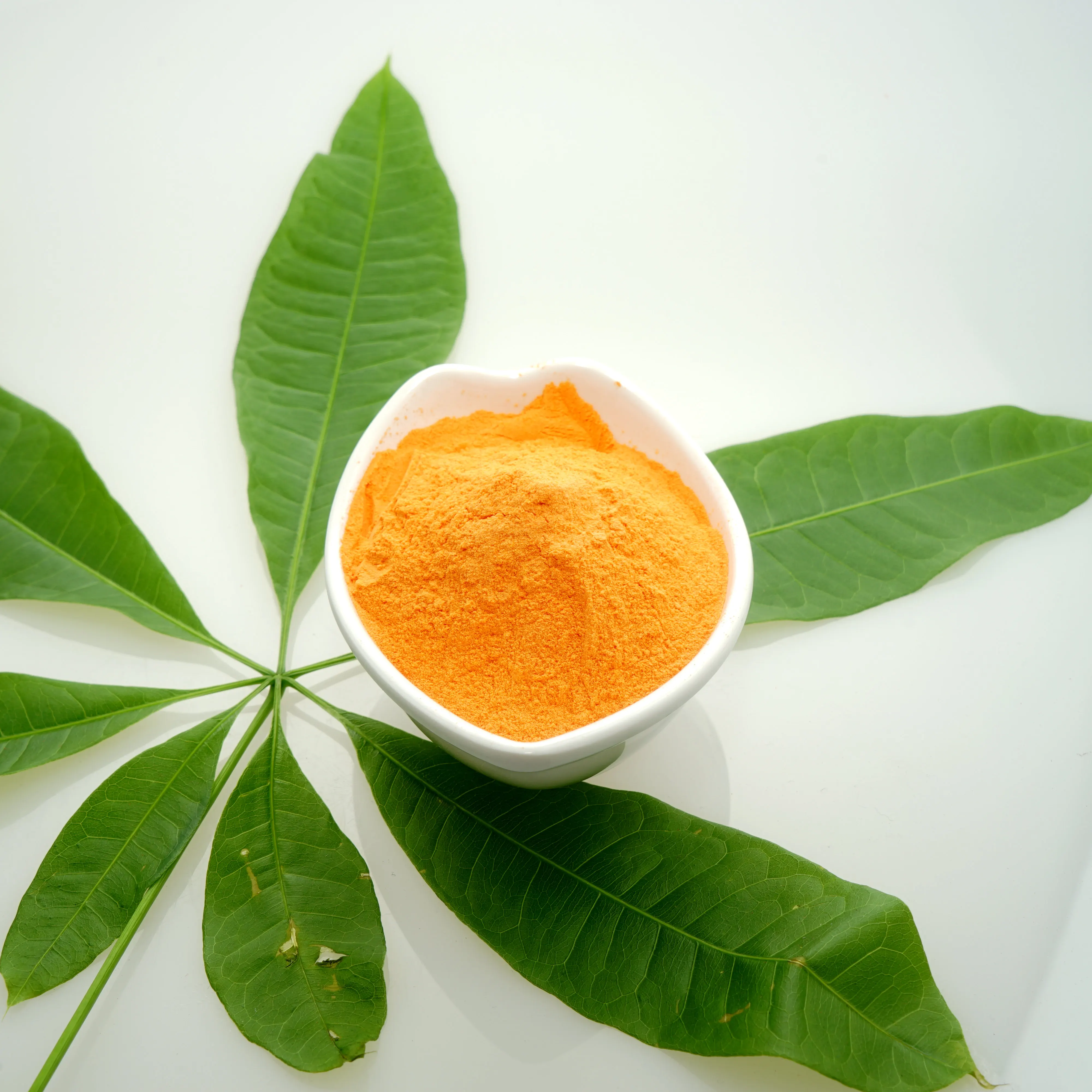 supply natural orange flavor powder