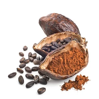 criollo cacao