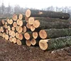 Pine, Teak, Spruce, Eucalyptus, Ceedar, Beech, Fir, Cherry, Hardwood, Rosewood, Hemlock, Oak Logs