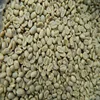 Premium Grade "ONE" Green Arabica Coffee Beans For Sale