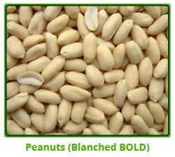 Peanuts-Blanched-Bold.jpg