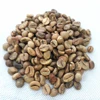 Healthy High quality and good price Green Robusta washed coffee beans