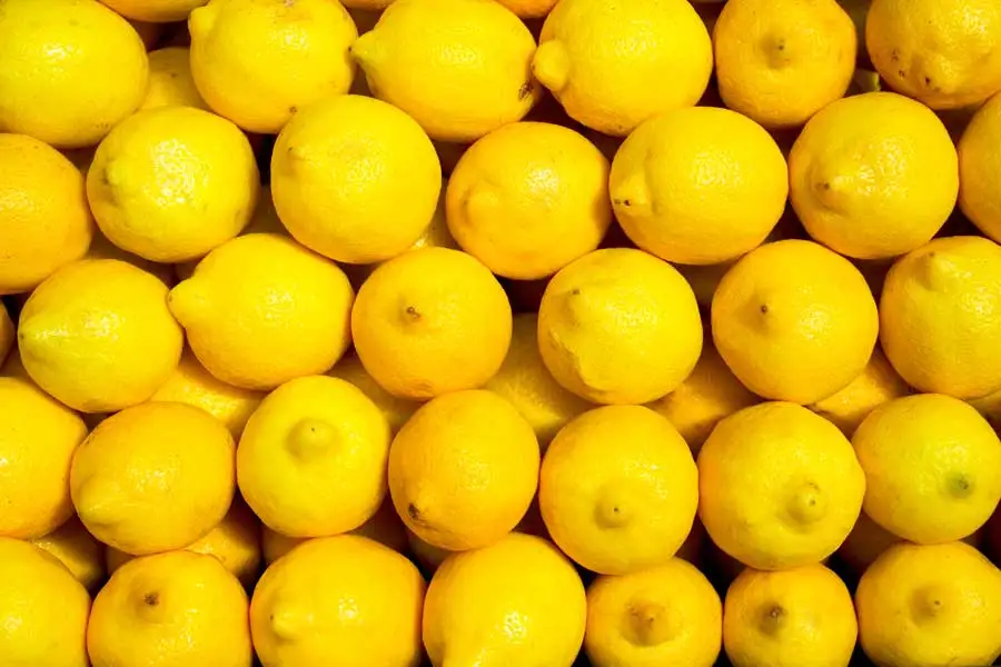 yellow eureka lemons from south africa