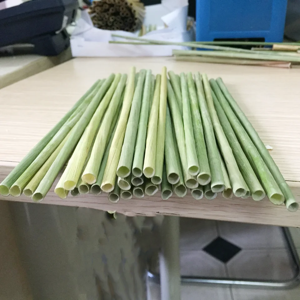 Eco Grass Straws Grass Straws Natural Straw / Amy +84 383 655 628