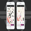 Bird App Clone software