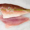 fresh and Frozen Red snapper Fish Fillet