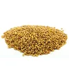 Best Quality Alfalfa Seeds