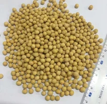 Поставщик сои. Соя сухая. Желтые бобы. Семена сои. Соя желтая.