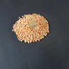 Yellow Maize Non-GMO