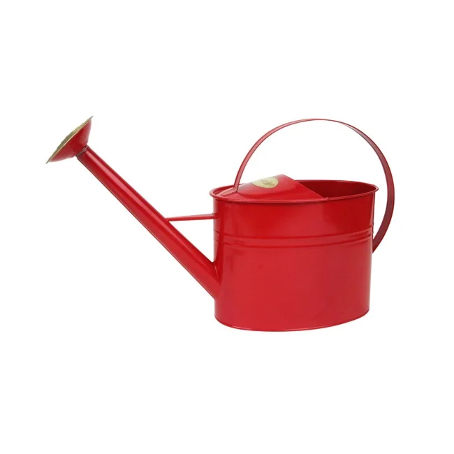 Classic Gold Watering Can For Plants Buy Iron Watering Cans