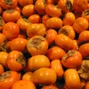 1-MCP Chesen post harvest tech for fresh produce