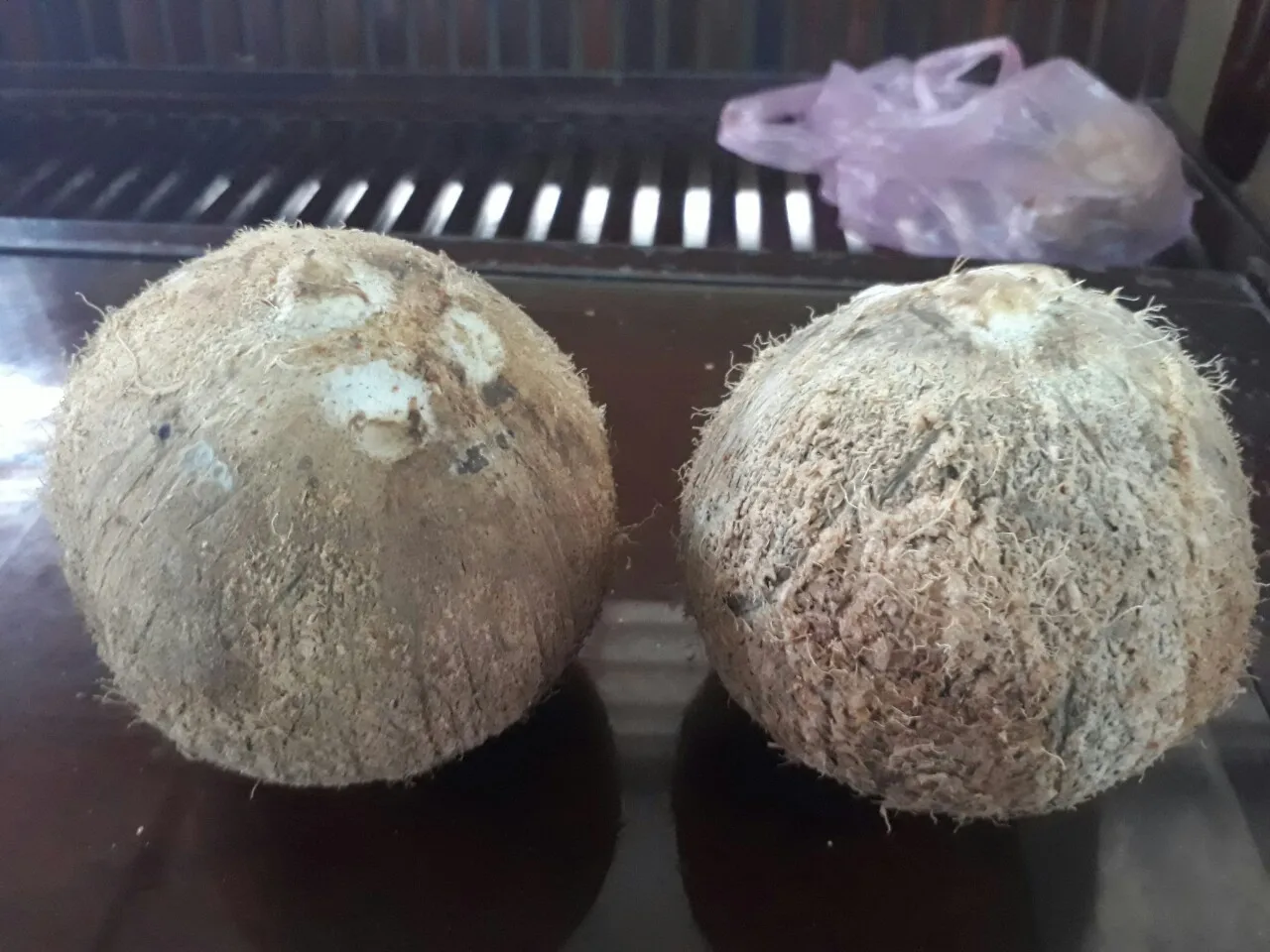 Old Coconut,Matured Coconut +84963818434 Whatsapp - Buy Old Coconut ...
