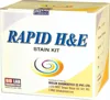 Rapid H and E