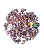 Cocoa nibs - Theobroma cacao