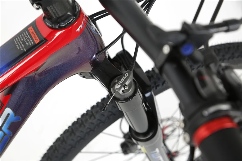 carbon mountain bike