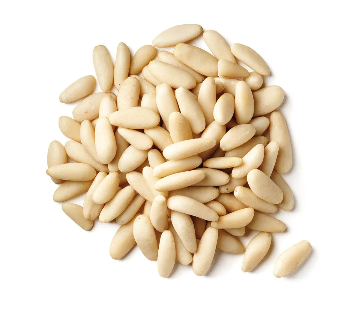 pine nuts wholesale price