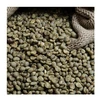 Premium Quality Dried Washed Green Robusta Coffee Beans