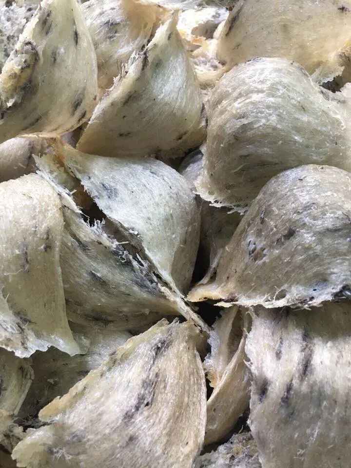 Vietnam 100 Pure Beautiful Raw Bird Nest Good Price For Further