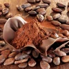 Yummy Sweet Snacks Cocoa Flavor Fired Broad Fava Bean Chips