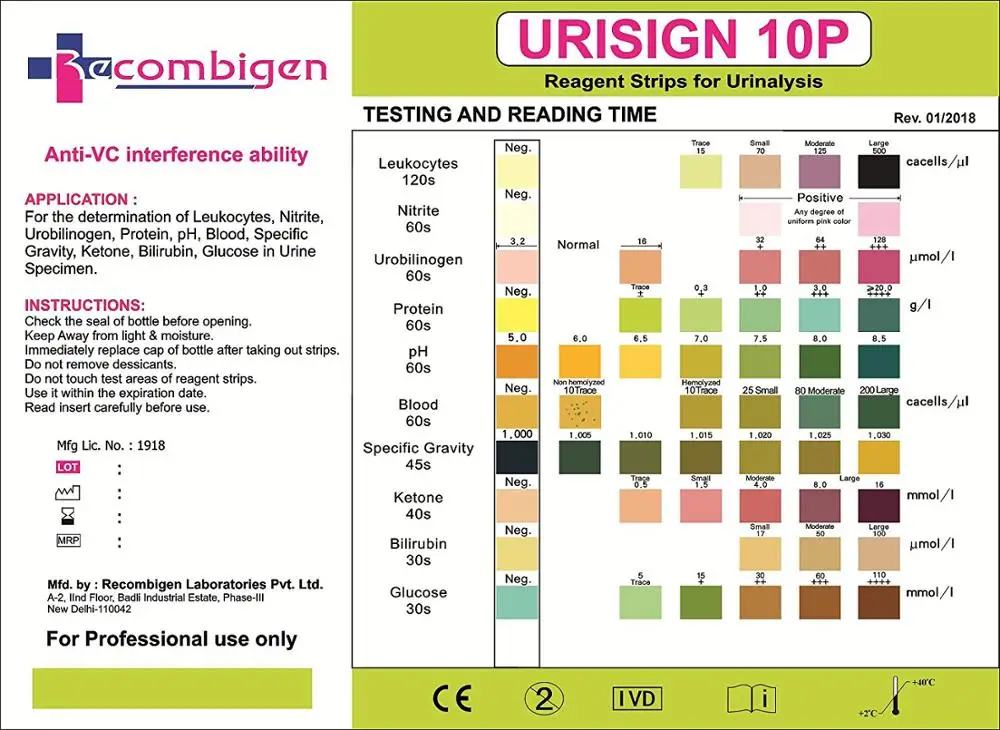 Urinalysis Reagent Test Strips,100 Strips/bottle,10 Parameter Urine