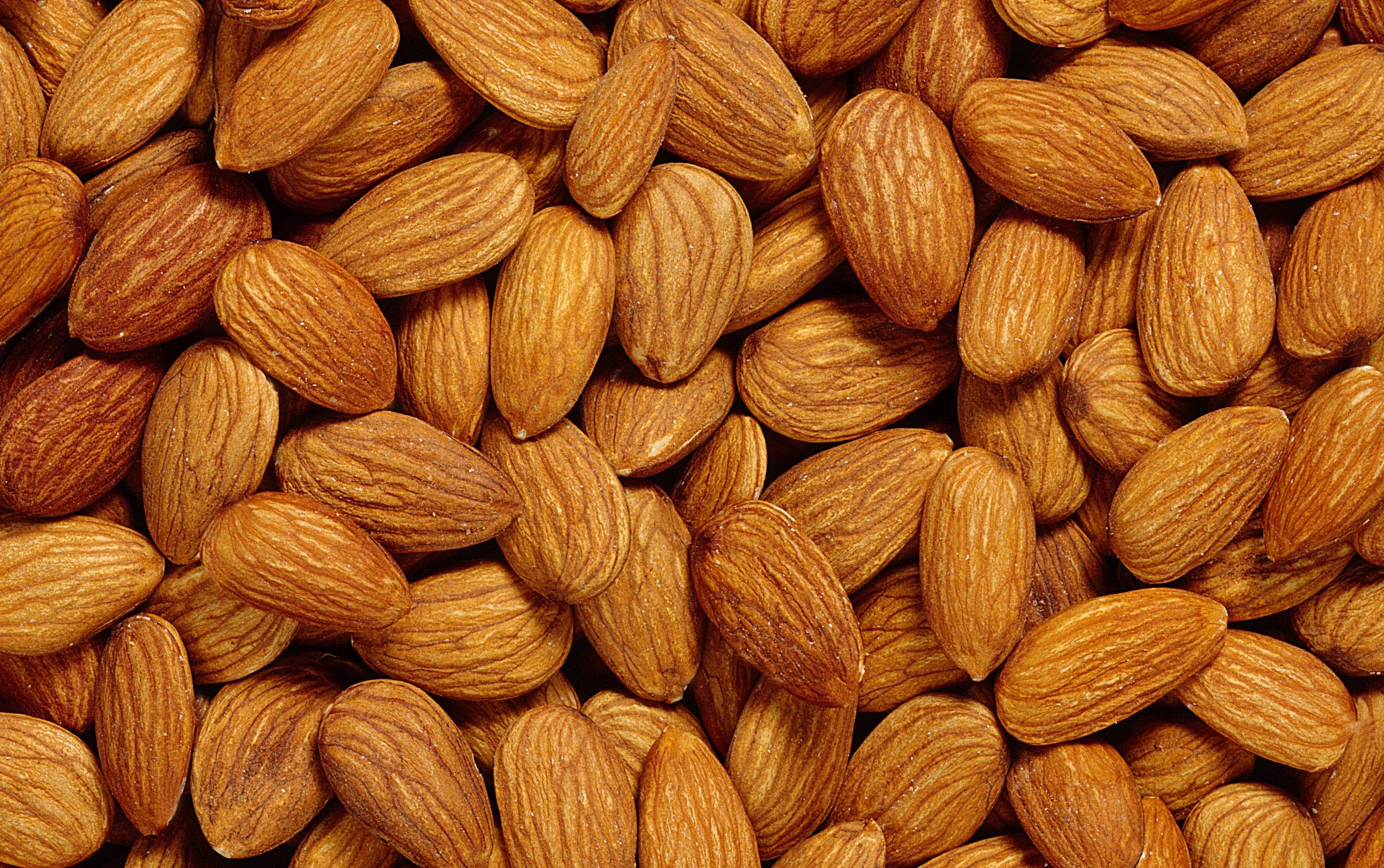 almond kernel nuts good taste almonds nuts best prices.