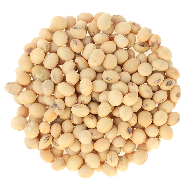 certified dry roasted soybeans price