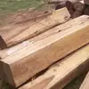 Maple / Ash / Oak Logs