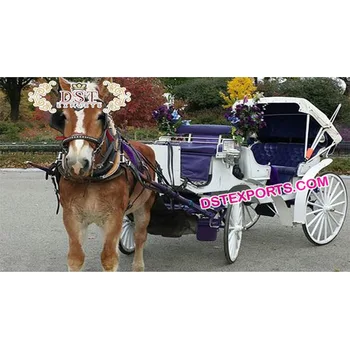 horse and carriage princess