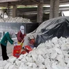 VIET NAM CALCINUM CARBONATE CACO3 POWDER