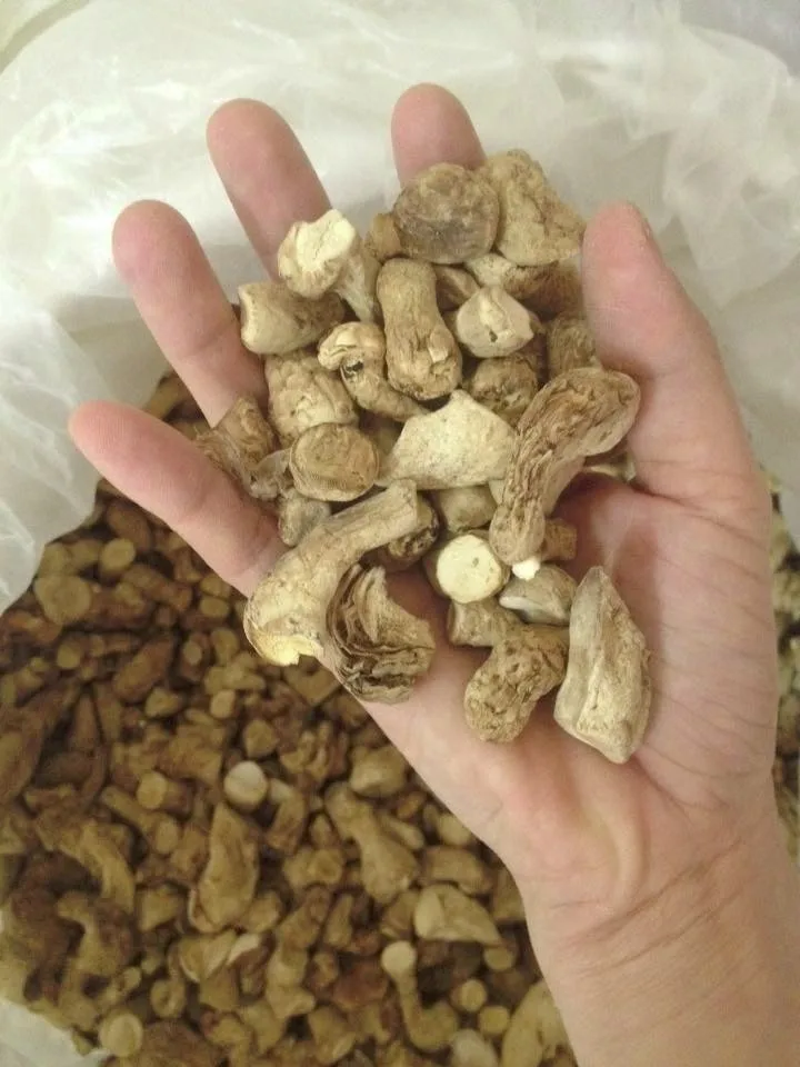 Dried Shiitake Mushroom Fungus Stem Vegetarian Healthy Food Buy