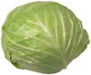 Dehydrate bulk fresh chinese cabbage for export