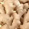 Best Quality Ginger price of fresh ginger