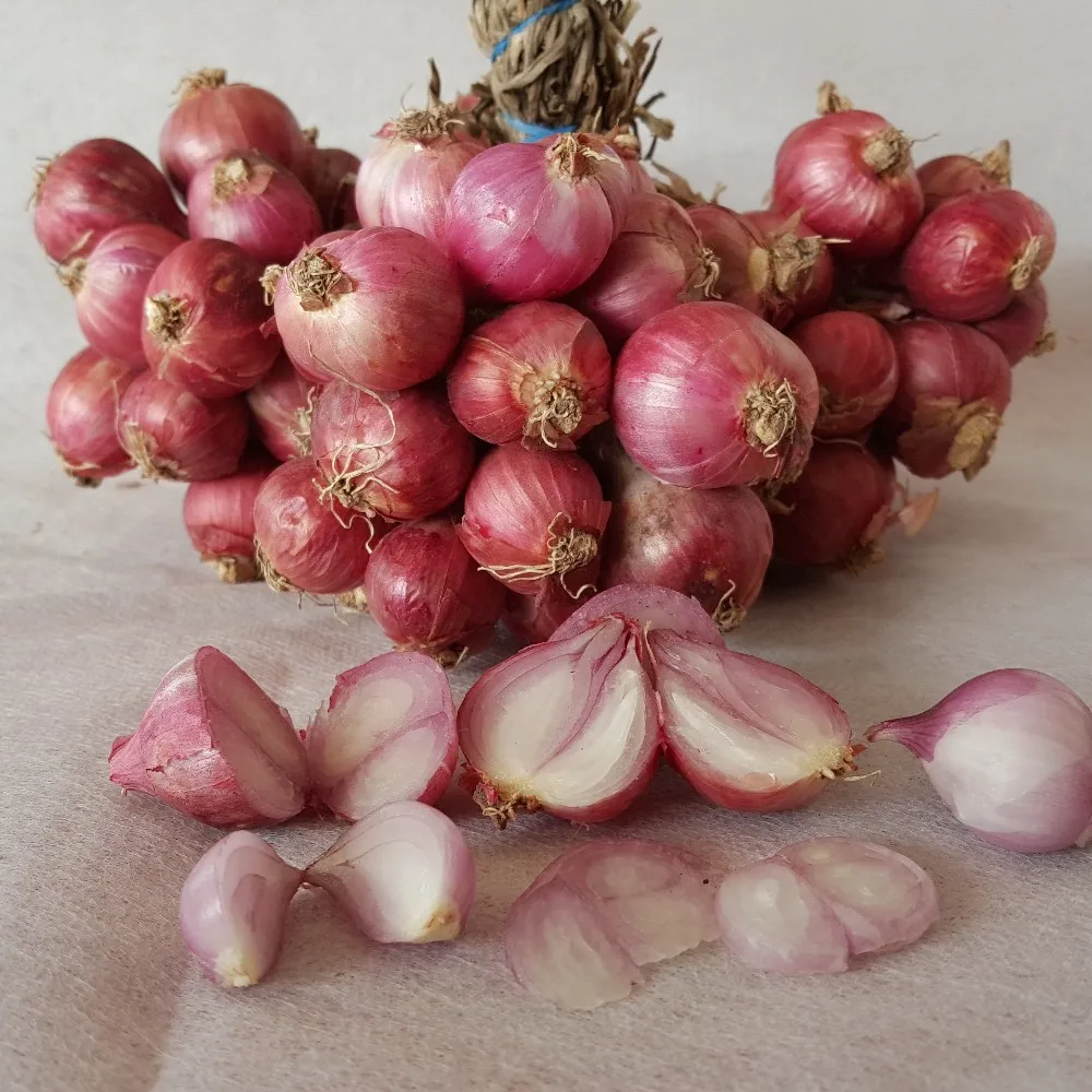 shallot red fresh thailand