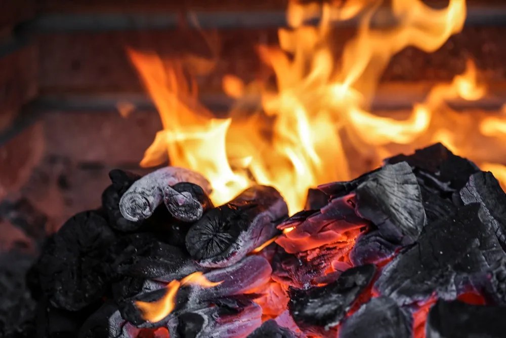 Carbonero 100 Natural Lump Hardwood Charcoal For Barbecue ( Bbq ) Extra Sifted 5kg In Plastic