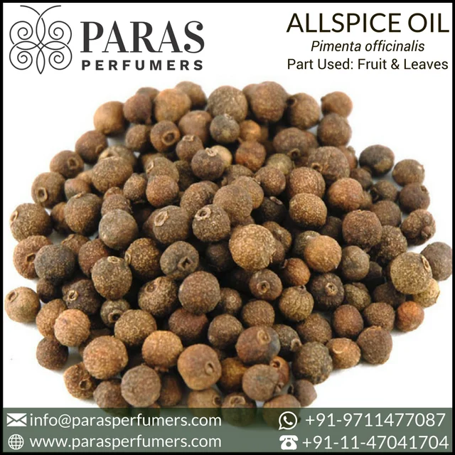 allspice berries oil-source quality allspice berri