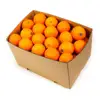 Bulk fresh fruits Navel Orange, Mandarin Tangerine Orange Kino